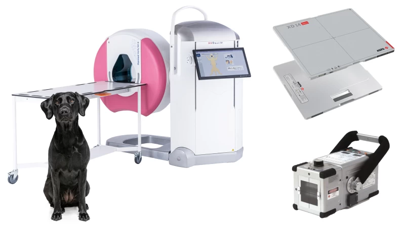 Médecine vétérinaire
