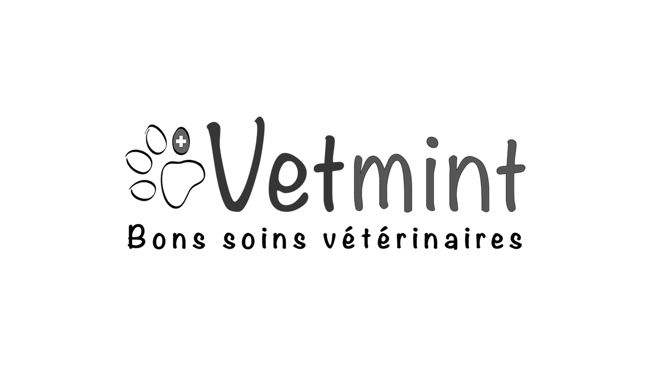 Vetmint Un vent de fraicheur dans le domaine vétérinaire.