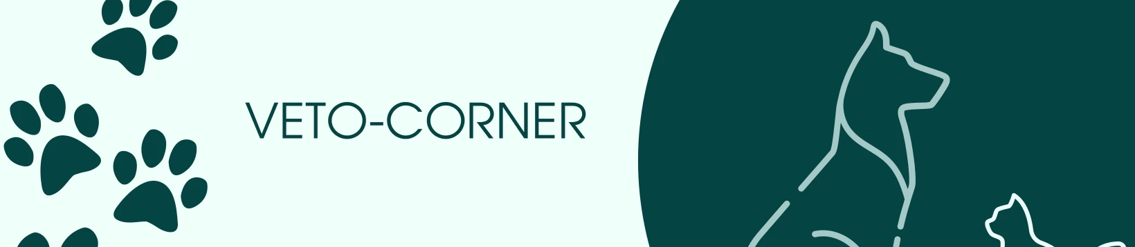 Veto-Corner - Schweizer Röntgen